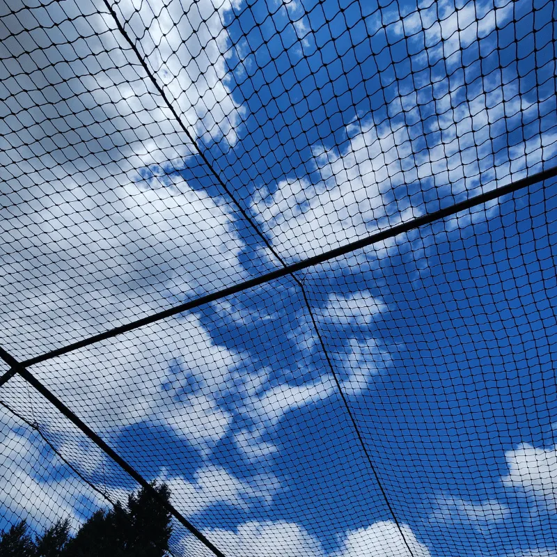 #36 HDPE Batting Cage Net Only (No Frame)