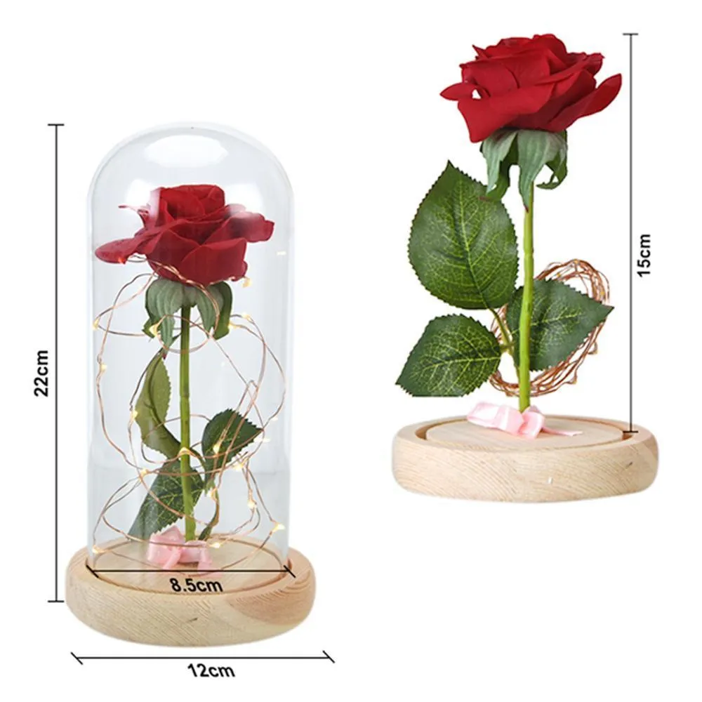 Enchanted Rose Lamp w/USB