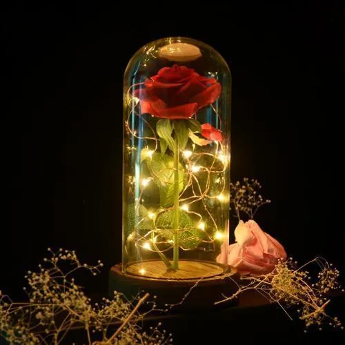 Enchanted Rose Lamp w/USB