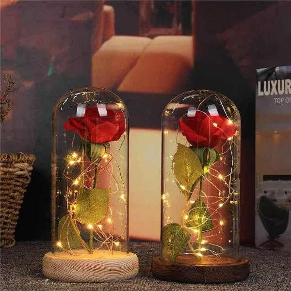 Enchanted Rose Lamp w/USB