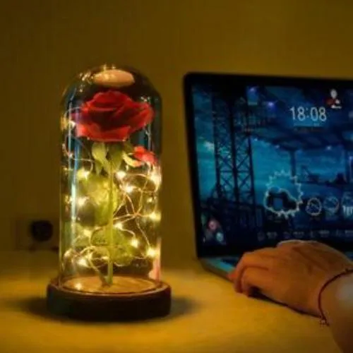 Enchanted Rose Lamp w/USB