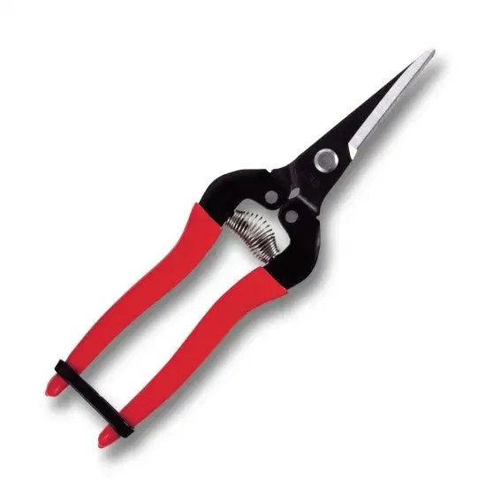 FRUIT PICKING SHEARS -  LONG BLADE -  NEEDLE NOSE -  190mm -  RED GRIP