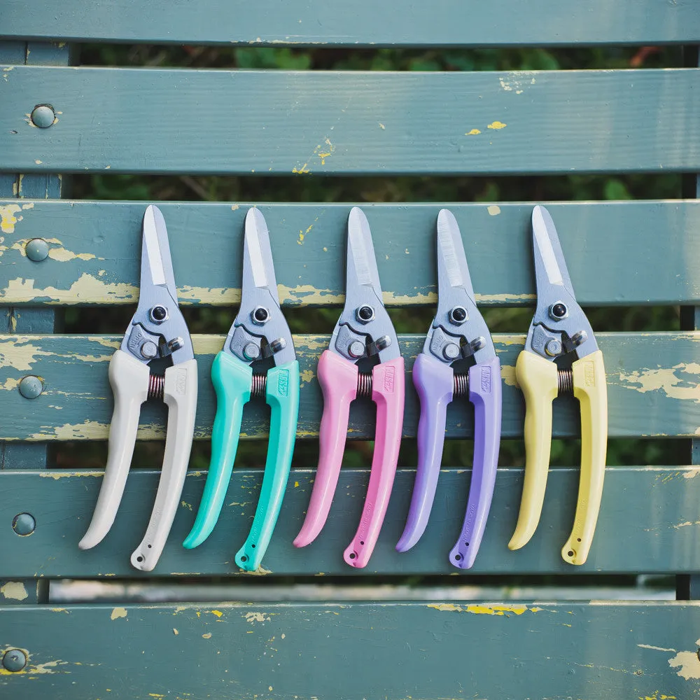 House & Garden Shears by ARS - Aqua