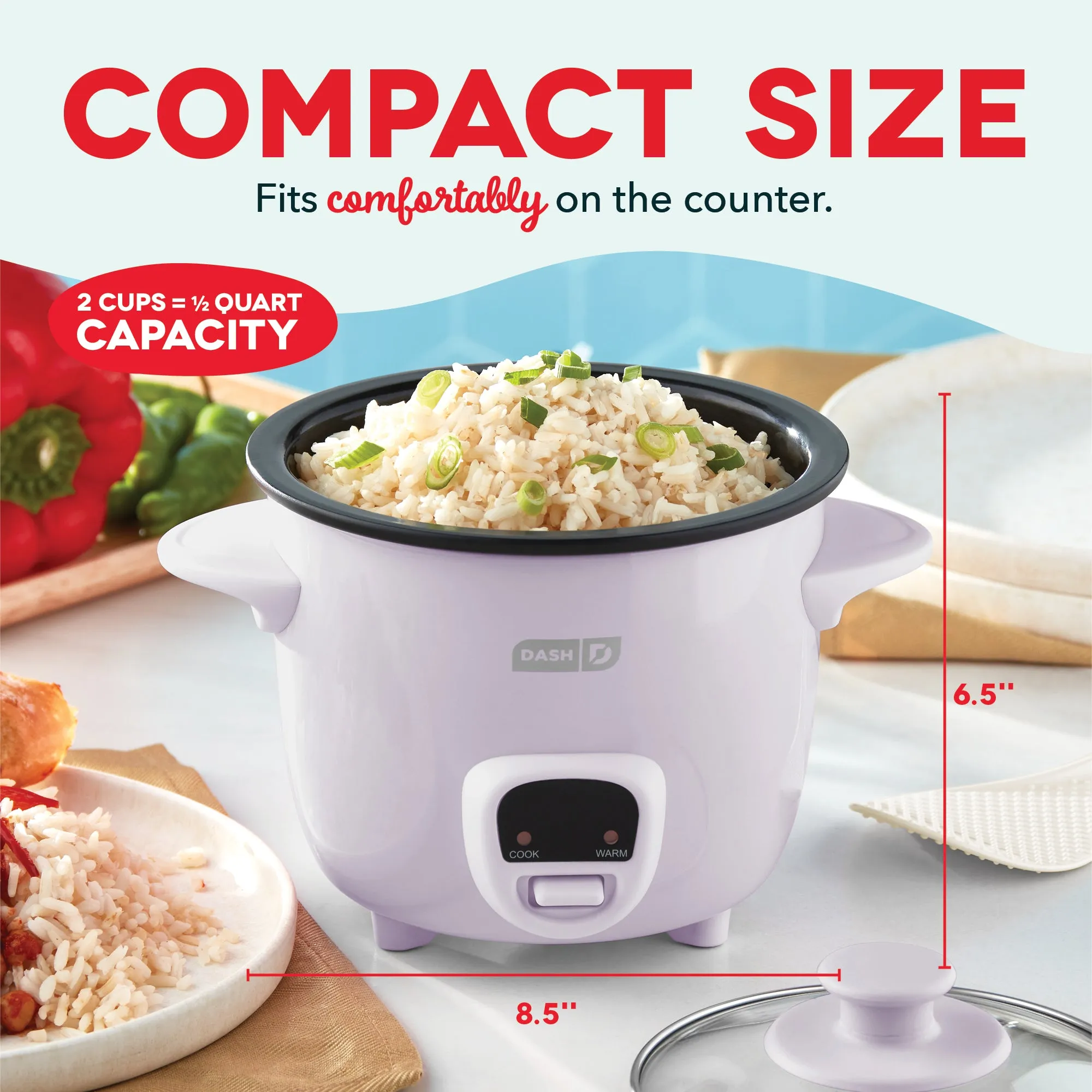 Mini Rice Cooker with Keep Warm