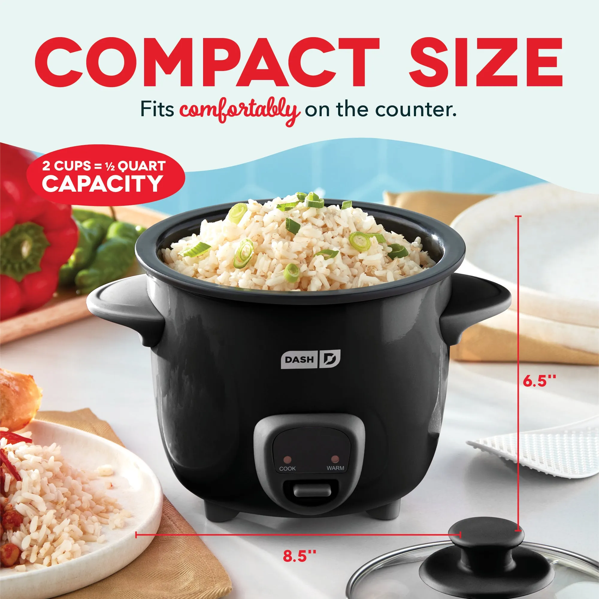 Mini Rice Cooker with Keep Warm