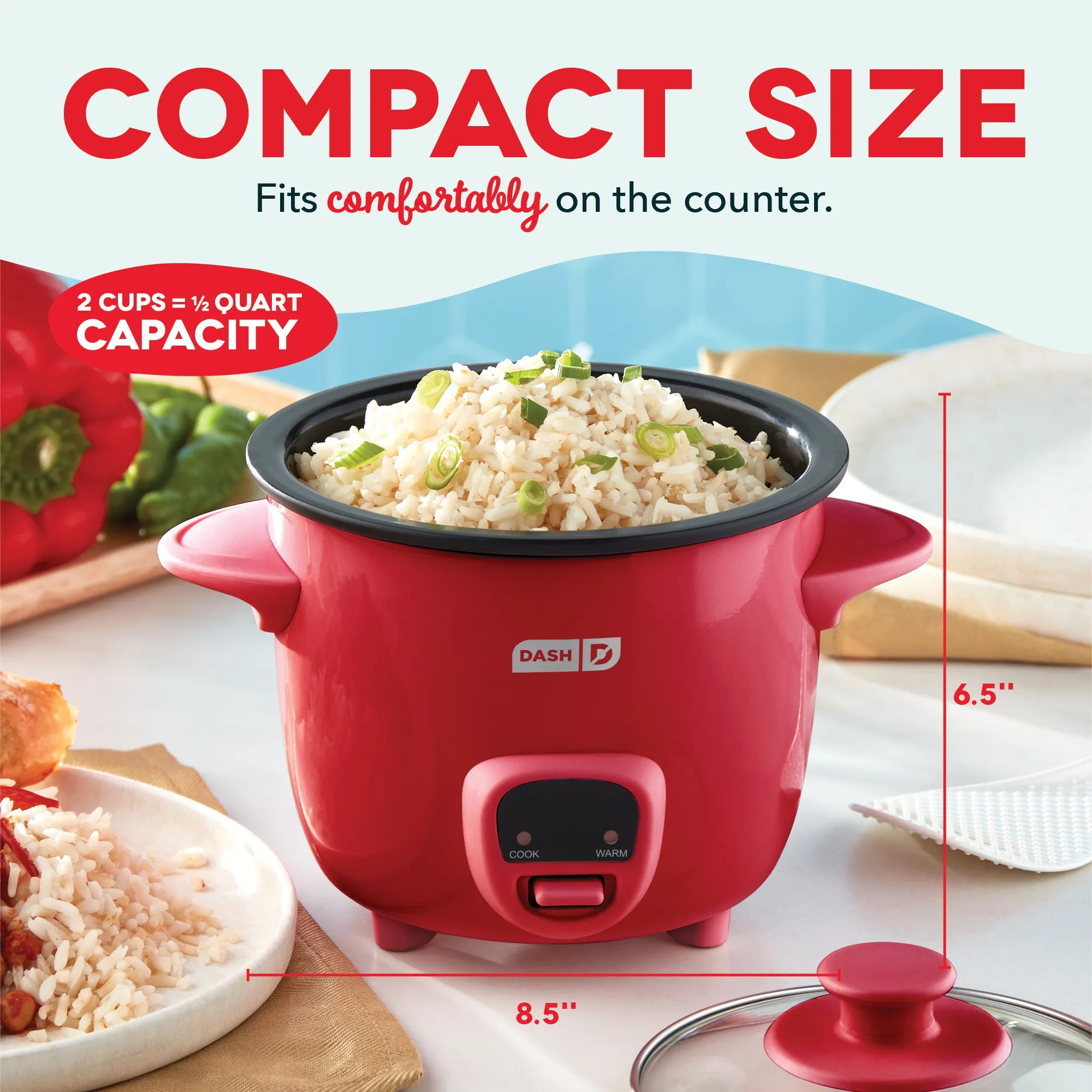 Mini Rice Cooker with Keep Warm