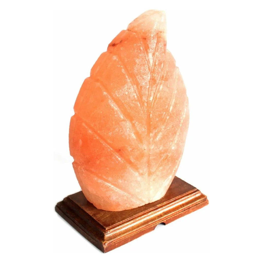 Natural Himalayan Crystal Salt Lamp - Fern Leaf Shape