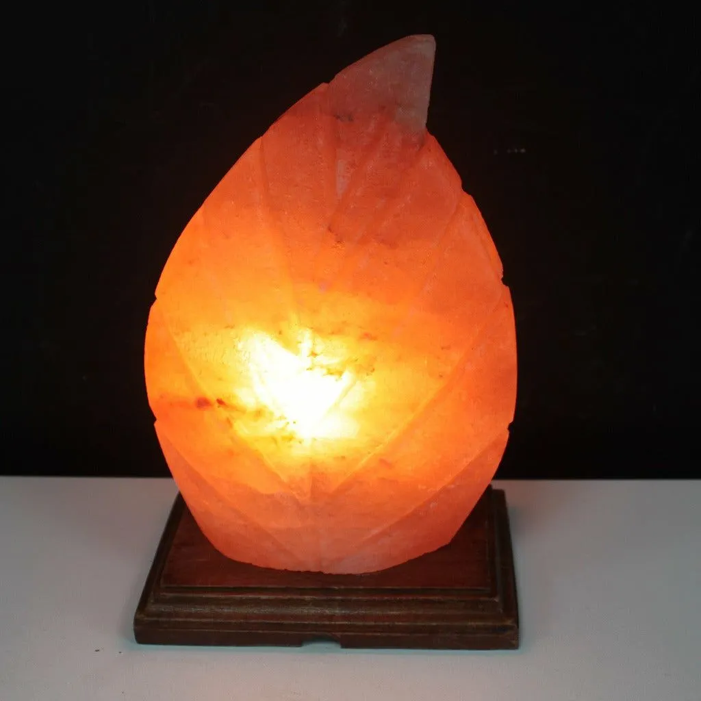 Natural Himalayan Crystal Salt Lamp - Fern Leaf Shape