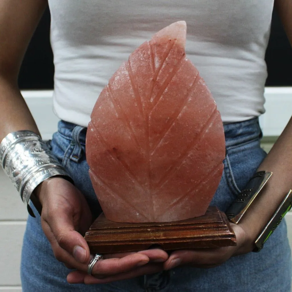 Natural Himalayan Crystal Salt Lamp - Fern Leaf Shape