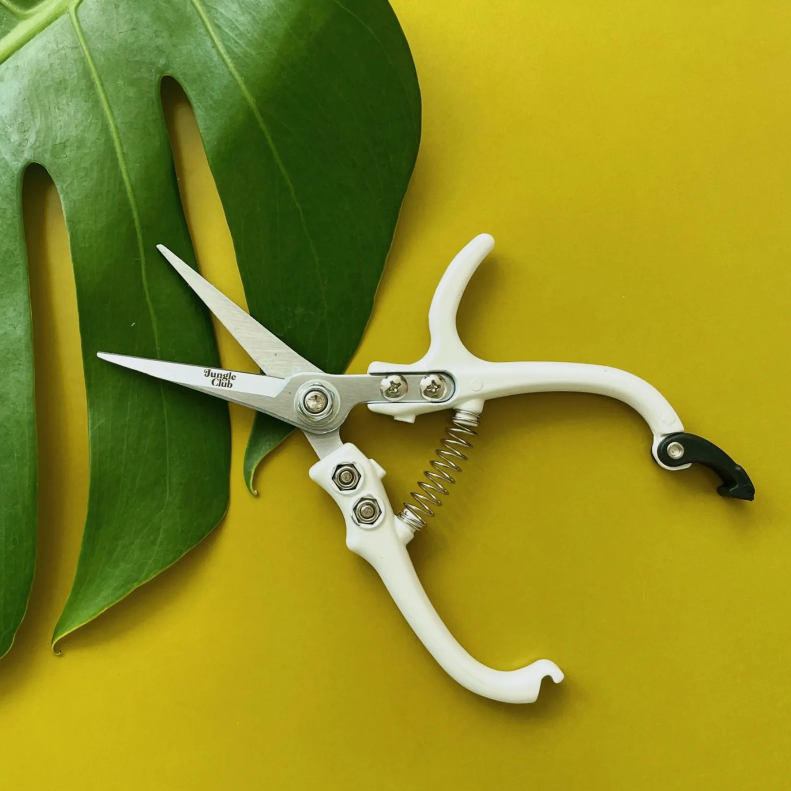 Plant Pruning Shears