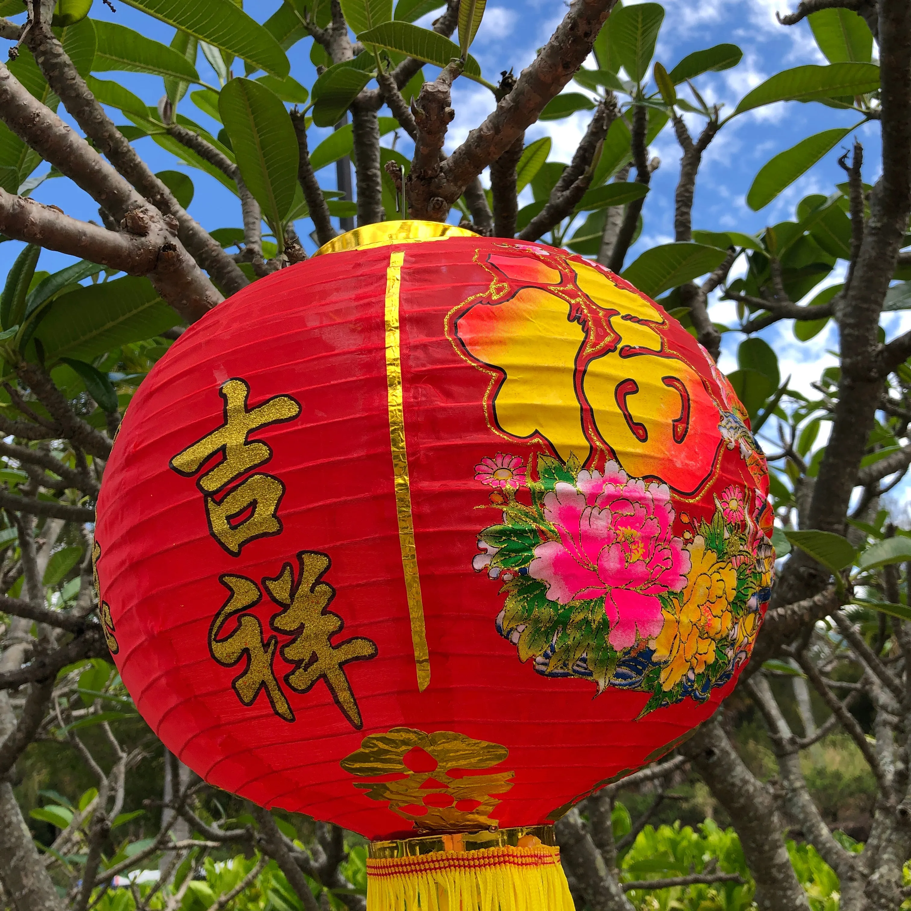 Printed Chinese Lanterns (35cm) - 2 pack nylon