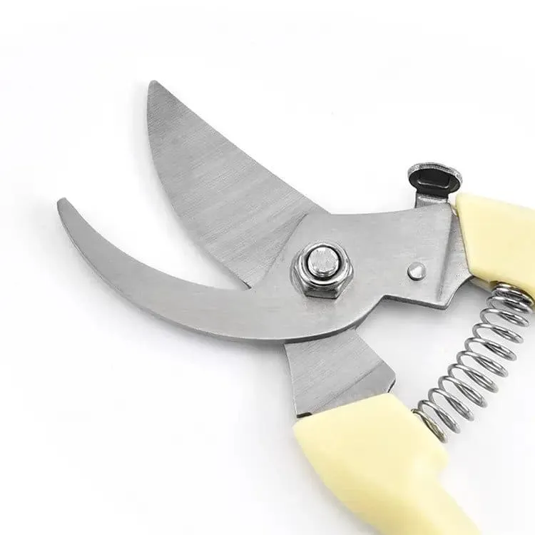 Pruning Shears