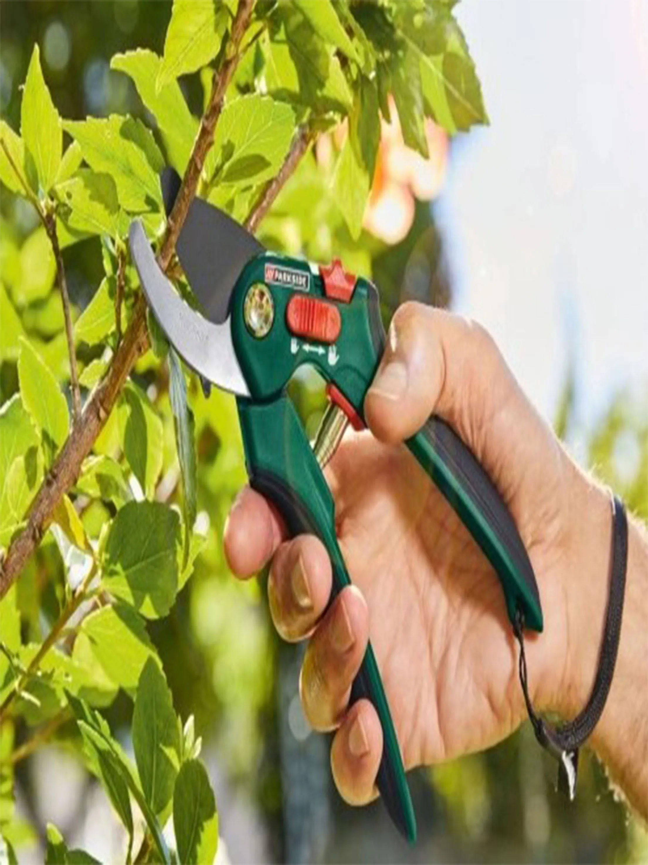 Pruning Shears