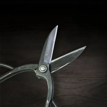 "SAHO" Kyo-Tsushima Type Garden Shears for Right Hander, Edge: Aogami Steel