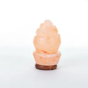 Seashell Rock Salt Lamp