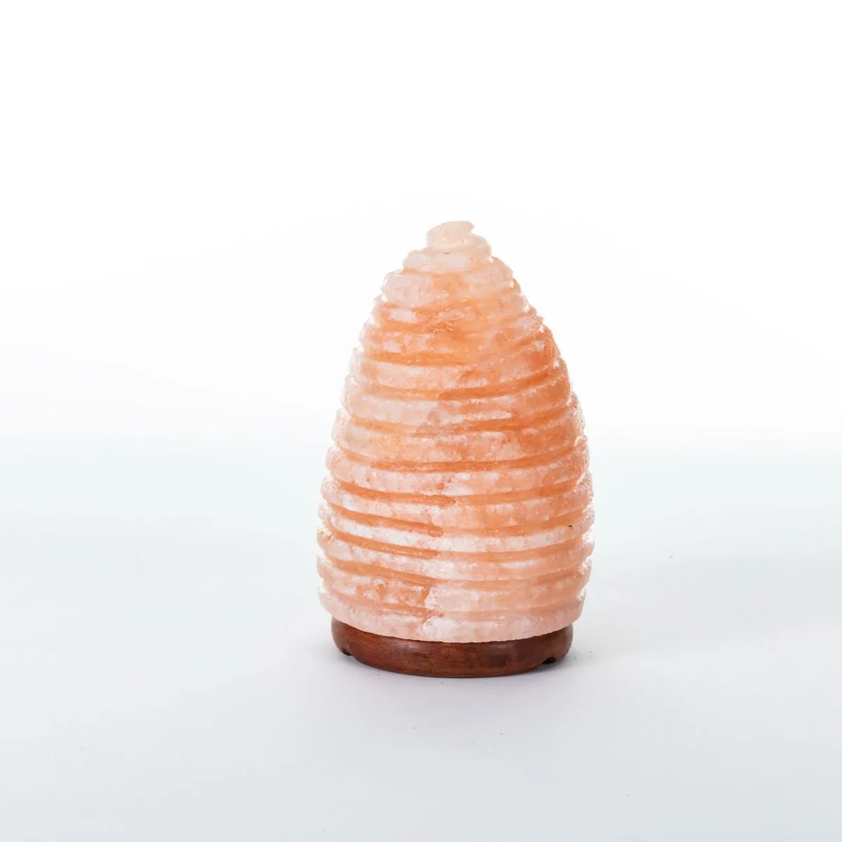 Seashell Rock Salt Lamp