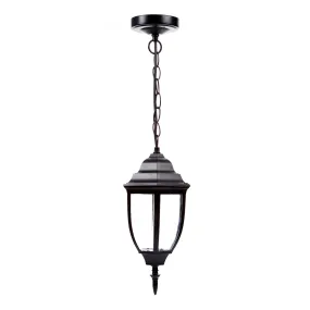 Selinus LED outdoor hanging light in black