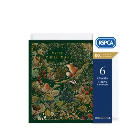 The Art File Secret Garden Pack-6 Charity Cards